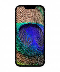 Smartphone iPhone 13 Pro  Super Retina XDR OLED iOS15 Enfield-bd.com Color: Gold