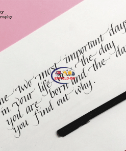Stationery & Gift Wrapping Supplies Parker Vector Standard Calligraphy CT Fountain Pen Black Blue Ink Enfield-bd.com