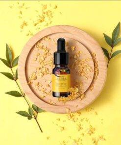 Enfield-bd.com Home & Living Baseus Essential Oil Cologne Osmanthus Ocean 