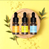 Enfield-bd.com Home & Living Baseus Essential Oil Cologne Osmanthus Ocean