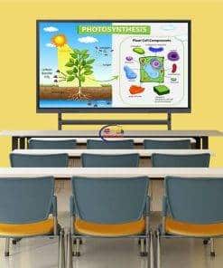 Enfield-bd.com Whiteboard BOXLIGHT Flat Panel 654U 65″|ProColor 4K Interactive Display