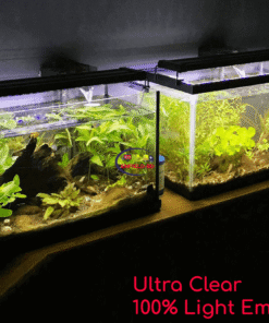 eNField-BD.COM 15″x15″x15″ Crystal Glass Aquarium Tank in Bangladesh Home & Living