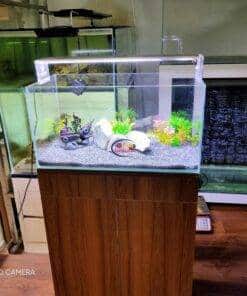 eNField-BD.COM Crystal Glass Aquarium 24x12x12 Price BD 2025 Home & Living  