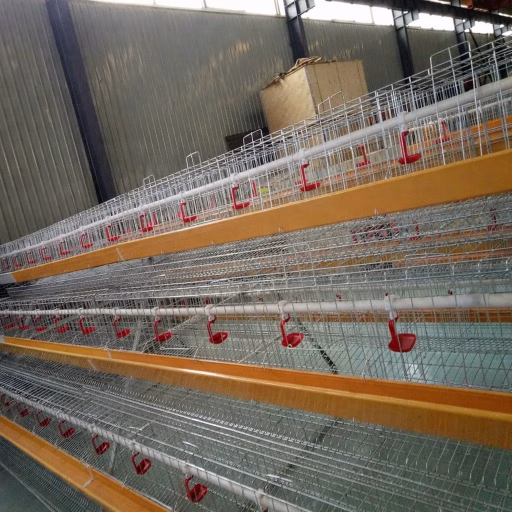 Poultry Farm House Design Egg Chicken Layer Cages (3)