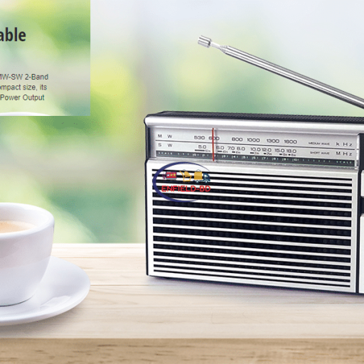 Gadget Home Audio Home & Living Panasonic R-218D | Portable Analog Radio Silver/Black With 6.5cm Speaker Enfield-bd.com